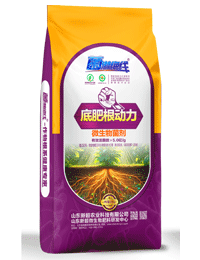 微生物菌剂