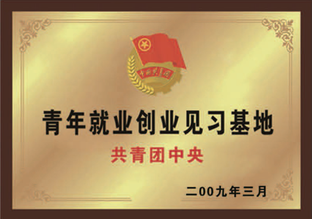 青年就业创业见习基地.png