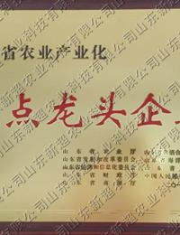 重点龙头企业