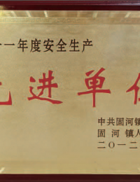 安全生产先进单位