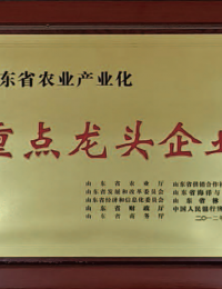 山东省农业产业化重点龙头企业