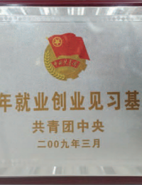 共青团中央青年就业创业实习基地