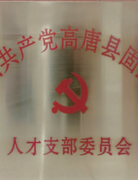 高唐县固河镇人才支部委员会