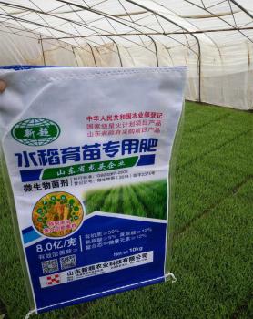 水稻育苗使用新超肥料效果图
