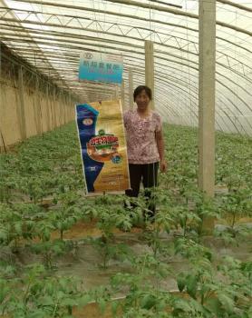 用新超肥料效果