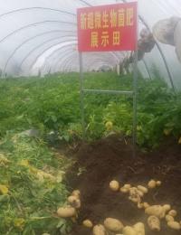 试验田